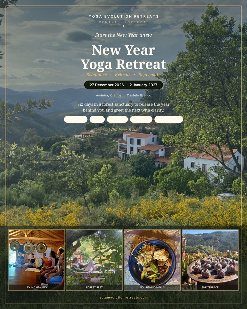 our yoga retreat over new year in the forests of Oleiros-Amieira, central Portugal